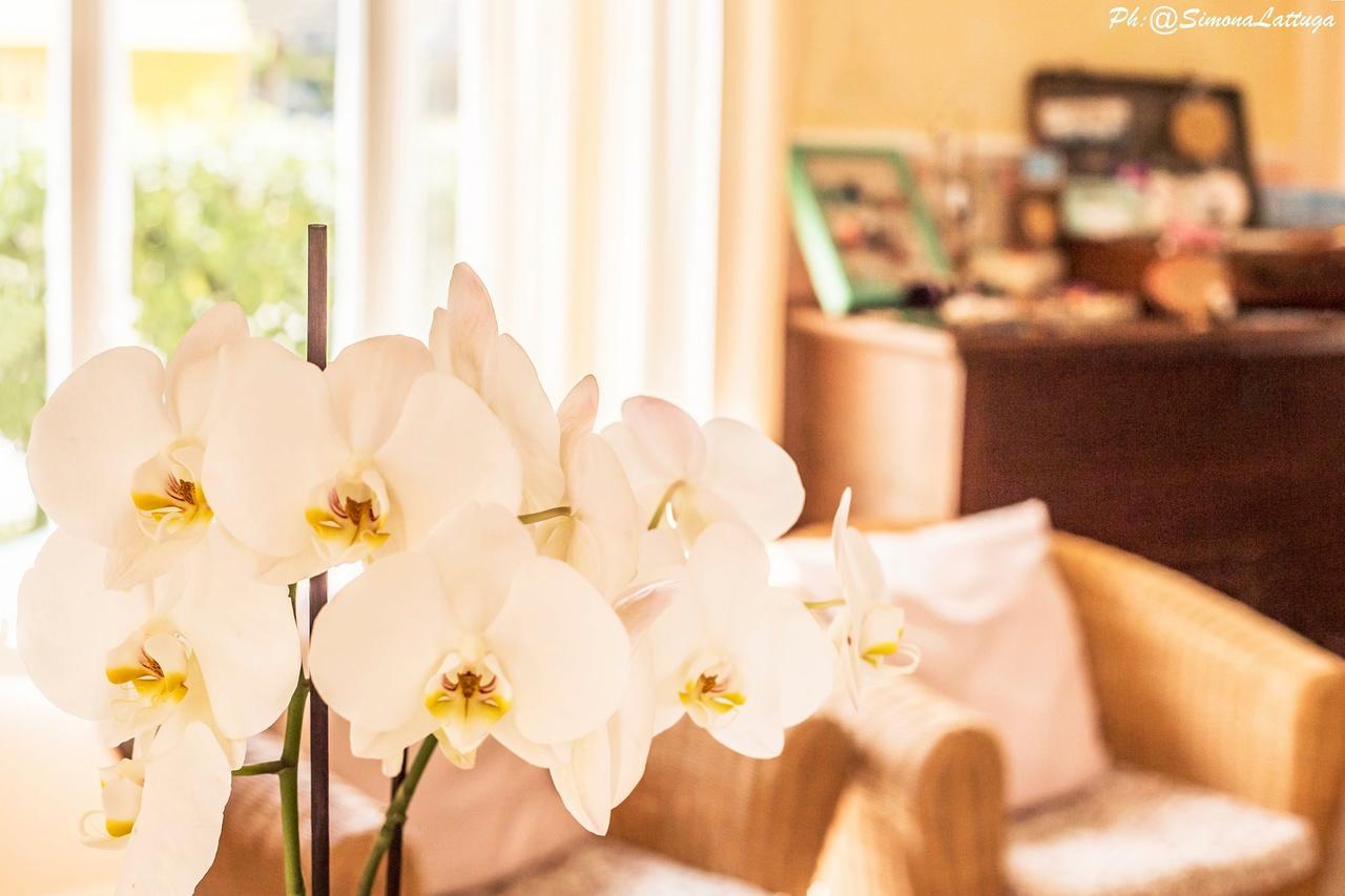 Hotel Ninfea Cervia Luaran gambar
